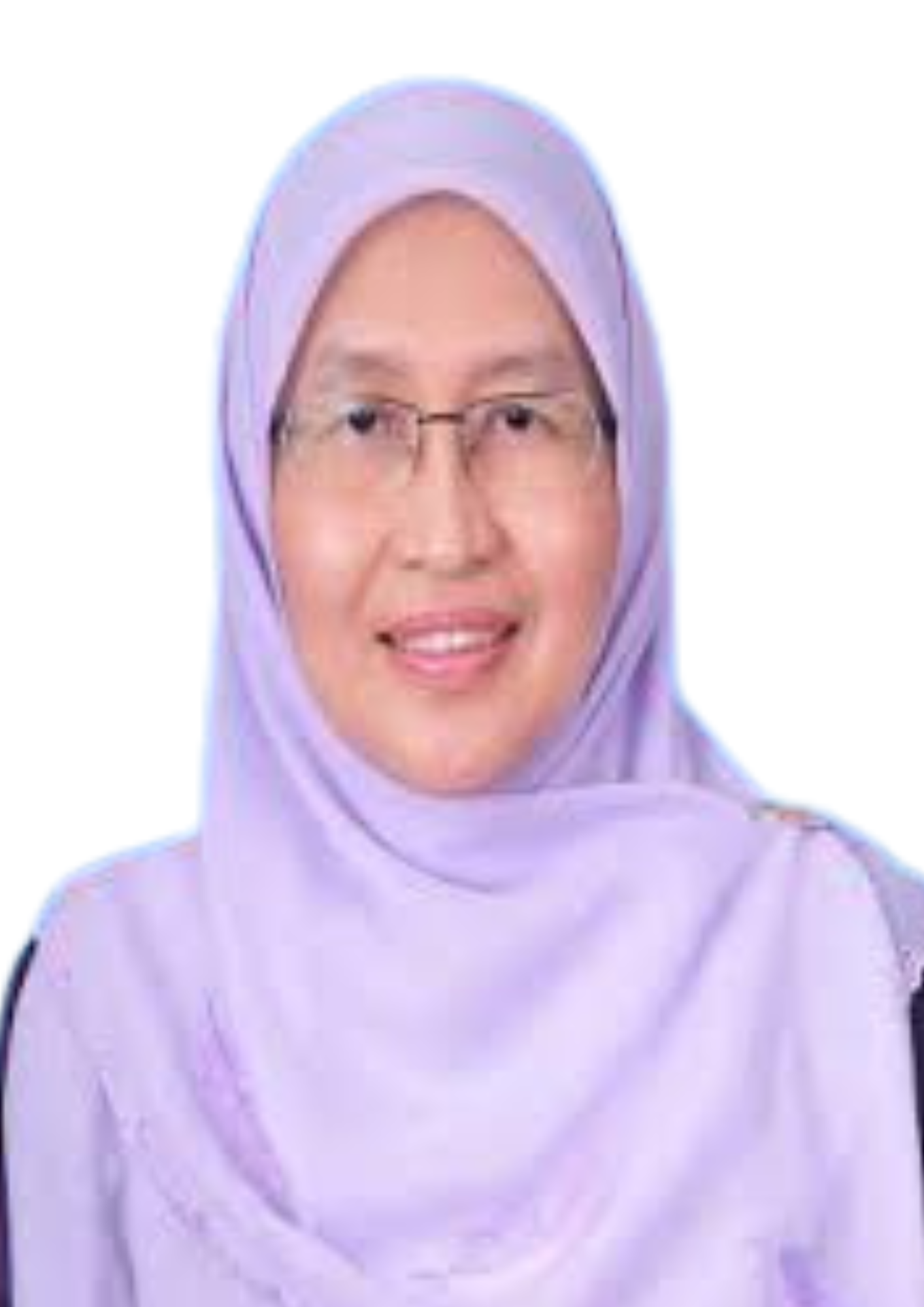 Rohaida Mohd Saat